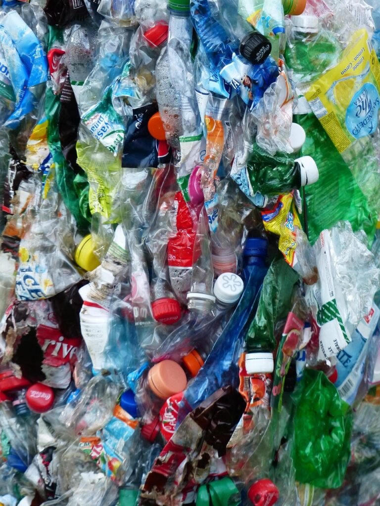 plastic bottles, bottles, recycling, environmental protection, circuit, garbage, plastic, pressed, presses, trashbin, dice, compressed, garbage collection, domestic animal, plastic bottles, plastic bottles, plastic bottles, plastic bottles, plastic bottles, recycling, garbage, plastic